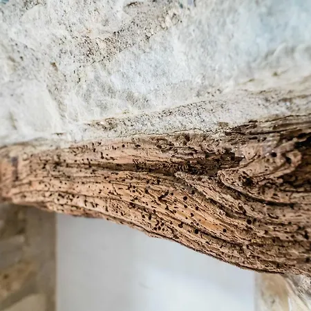 Feel - Cozy Old Town Apartament