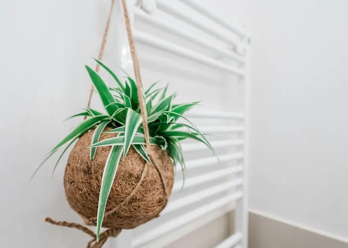 Feel - Cozy Old Town Apartamento *